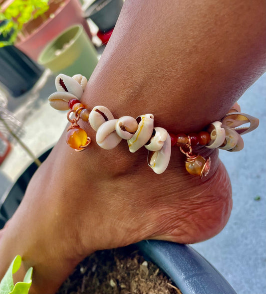 Sunkissed Cowrie ☀️🐚